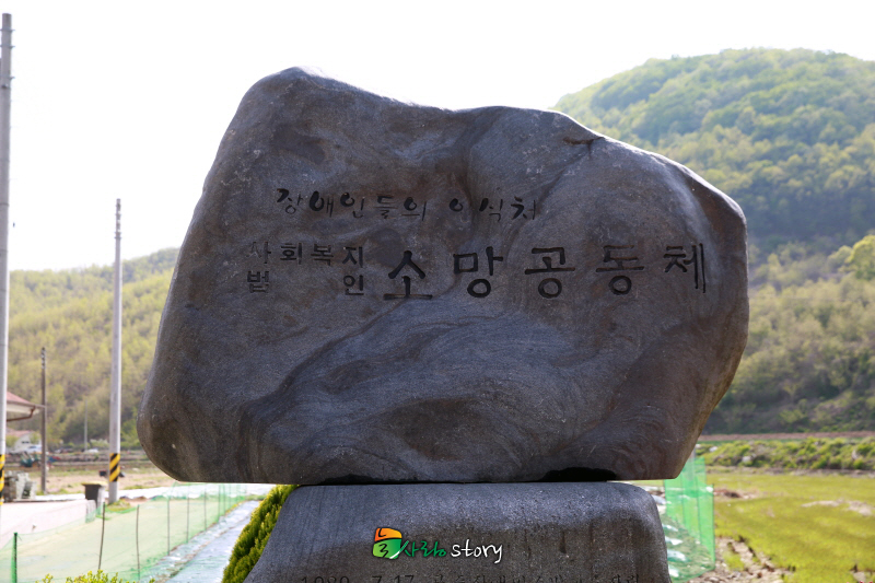 5B8A0719.JPG