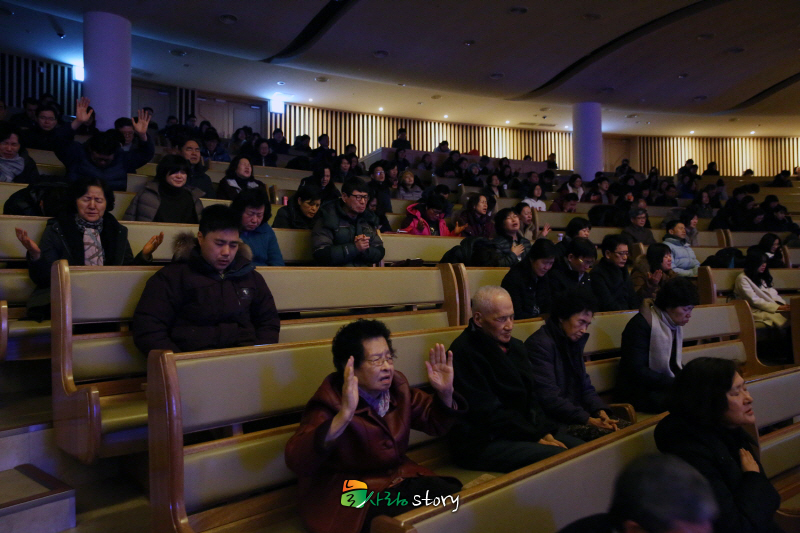 5B8A4804.JPG